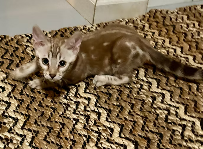 Margaret and Max Marble Boy!