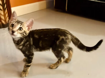 Margaret and Max Marble Boy