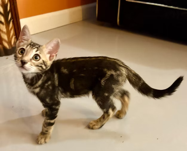 Margaret and Max Marble Boy