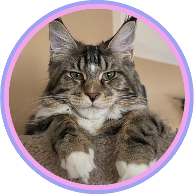 Magichatical Maine Coons