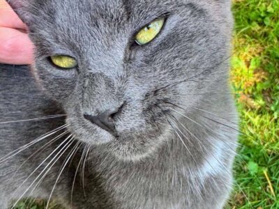 Sweet Adult Looking for Second Chances!