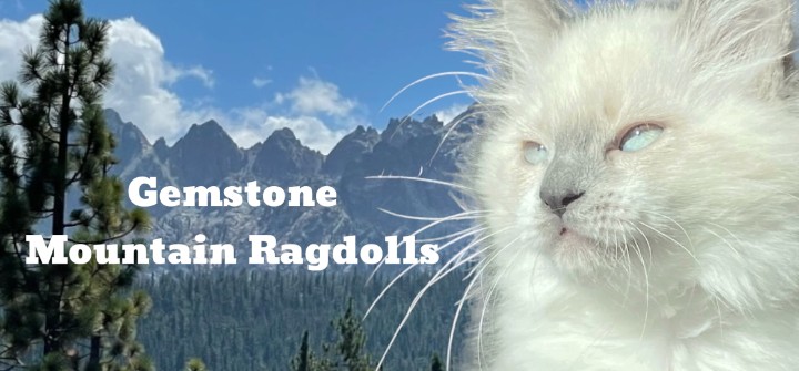 Gemstone Mountain Ragdolls
